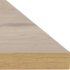 Skånska Möbelhuset Cenny Matbord 160 Cm - Ek/svart 19 Skånska Möbelhuset Cenny Matbord 160 Cm - Ek/svart -Stolar affär 07c32b4680da0be4eb8a645028653e4b19