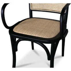 Skånska Möbelhuset Malmby Karmstol Böjträ Svart/rotting -Stolar affär 116dad84c978bfa8e1723a7fea4dc18823