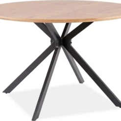 Skånska Möbelhuset Aster Matbord 120 Cm - Ek/svart