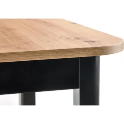 Skånska Möbelhuset Bloom Matbord 160-240 Cm - Svart -Stolar affär 2bef864d094f860c0aeb2c02a8878eda76