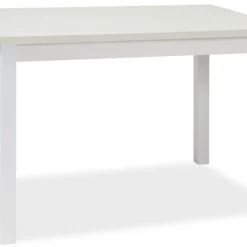 Skånska Möbelhuset Adam Matbord 100 Cm - Vit