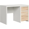 Skånska Möbelhuset Kaspian Skrivbord 120 X 65 Cm - Vit/ek -Stolar affär 957a60c4a907043bc861878c5ec6dc9a24
