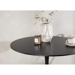 Skånska Möbelhuset Glade Matbord Ø100 Cm - Svart 16 Skånska Möbelhuset Glade Matbord Ø100 Cm - Svart -Stolar affär a28530d12ab2f9f809399659ab6cfc54c4