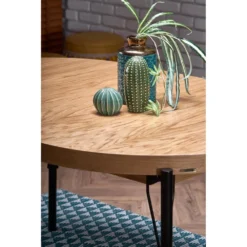 Skånska Möbelhuset Dante Matbord 100-300 - Ek/svart -Stolar affär e01a54b71c78be674a854b0029947717da