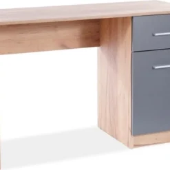 Skånska Möbelhuset Boro Skrivbord 120x51 Cm - Wotan Ek/antracit